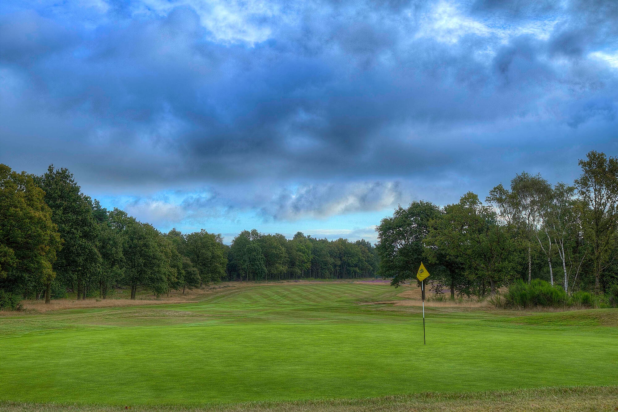 Midlands Package - Image 3