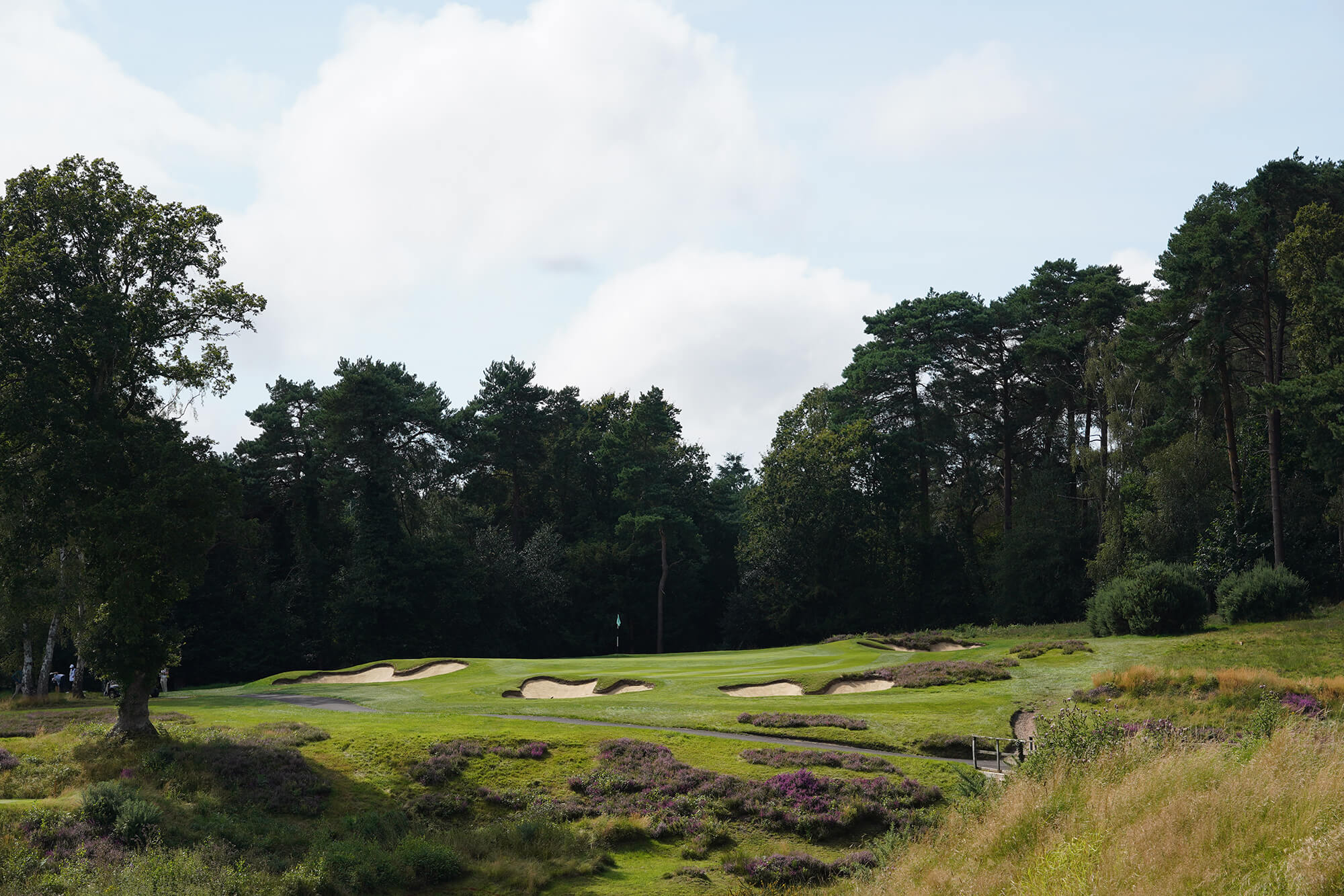 South Coast Package - Image 3