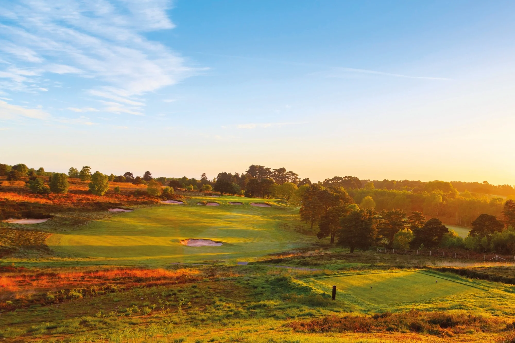 South Coast Package - Image 5