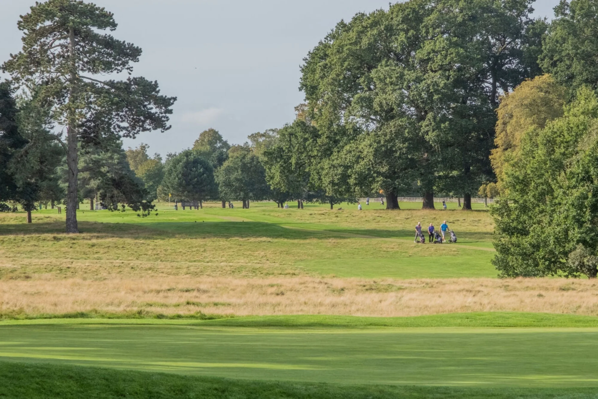 East Midlands Package - Image 5