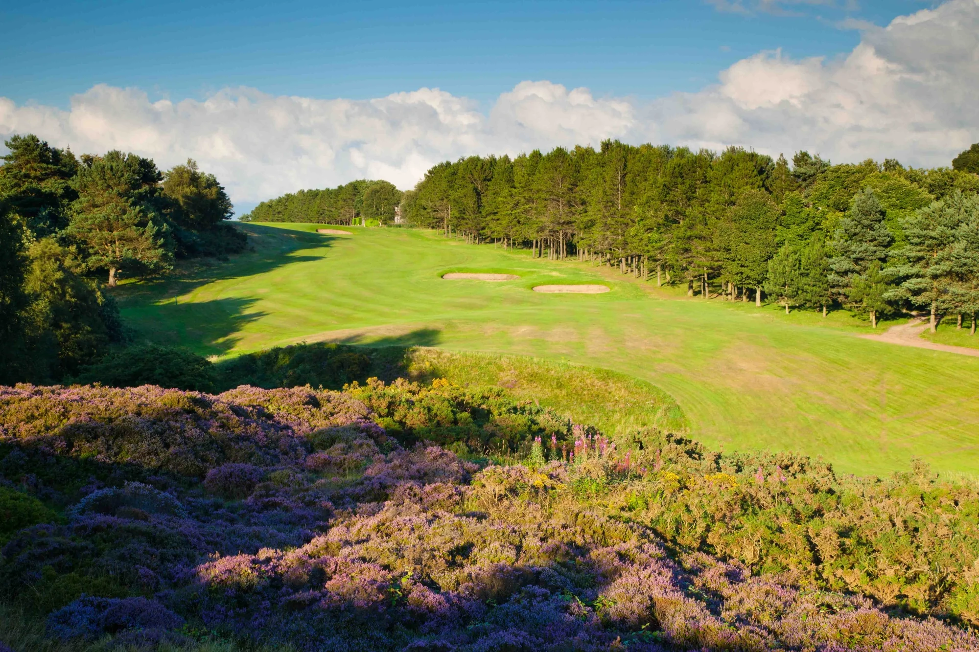 South Yorkshire Package - Image 3