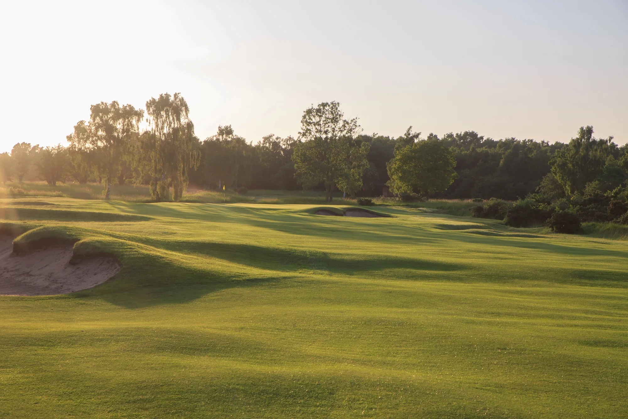 South Yorkshire Package - Image 4