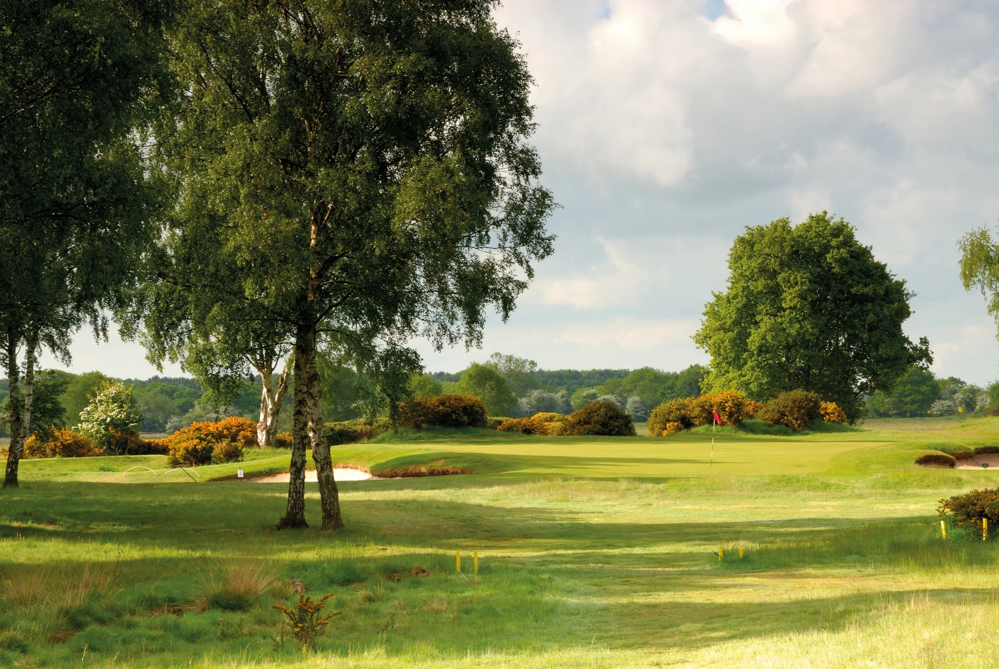 Yorkshire Package - Image 4