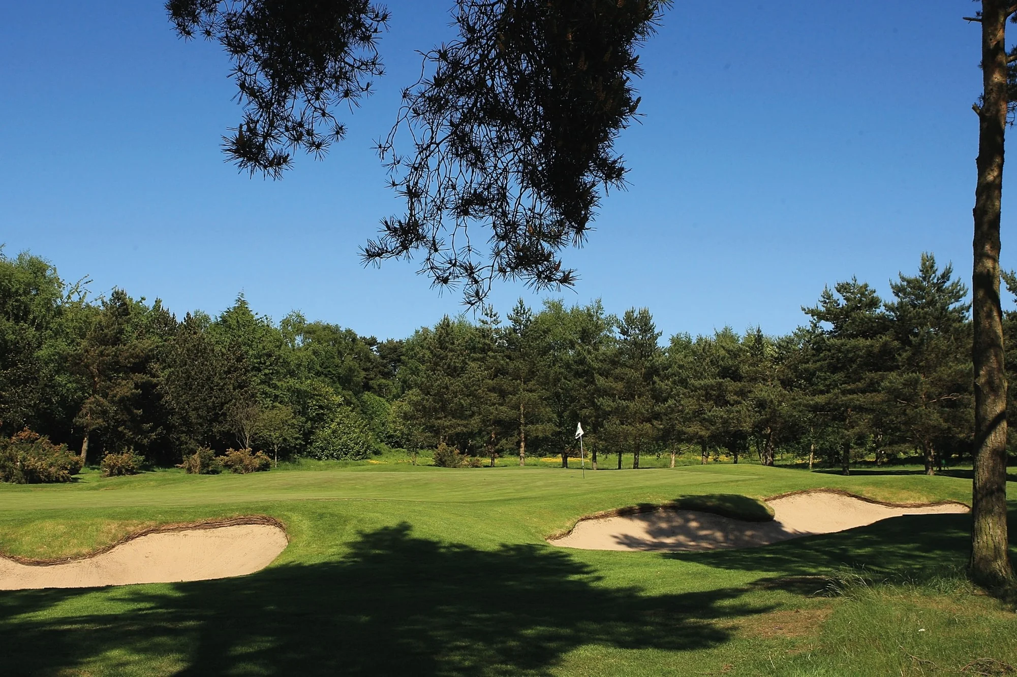 Yorkshire Package - Image 7