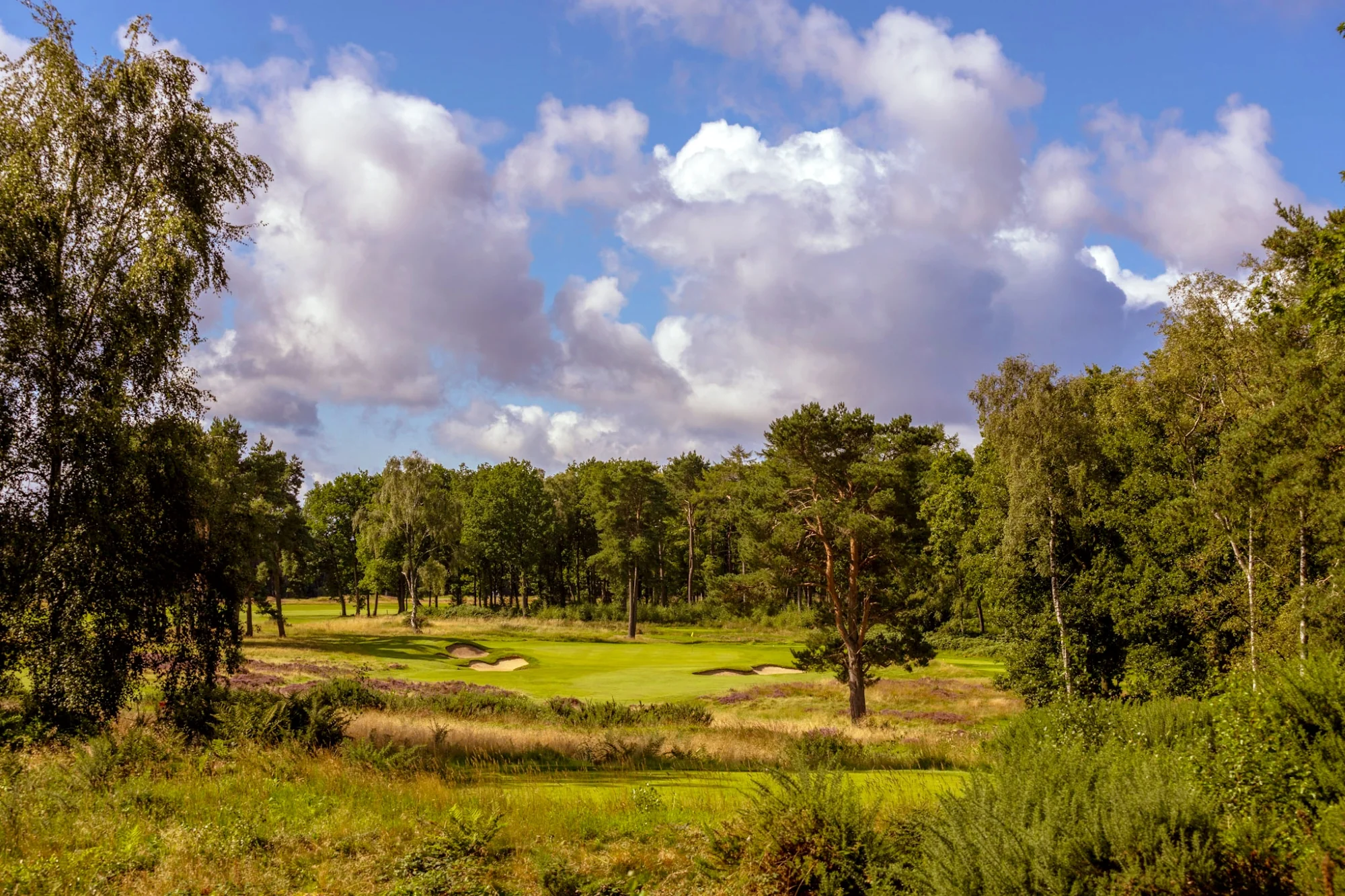 Yorkshire Package - Image 9